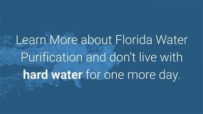 Best Price On Water Filter Science Experiment Online